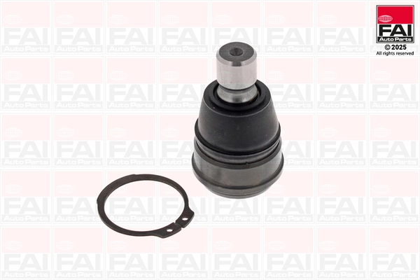 Ball Joint